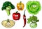 Fresh healthy cartoon vegetables characters