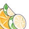 fresh and healthy half of orange and lemon