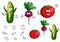 Fresh healthy happy cartoon vegetables