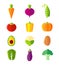 Fresh healthy vegetables flat style organic icons