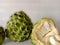 Fresh and healthy winter season fruit custard apple