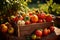 fresh heirloom tomatoes in wooden crate in evening garden, Generative AI