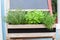 Fresh herbs on balcony garden in pots. Mixed Green fresh aromatic herbs - melissa, mint, thyme, basil, parsley in pots. Kitchen he