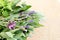 Fresh herbs bundles on beige burlap background - rosemary, lavender, sage, catnip, and peppermint