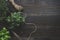 Fresh herbs on the dark wooden table, top view. Rustic background with copy space