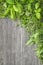 Fresh herbs over grey wooden