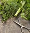 Fresh Herbs On A Rusty Table