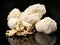 Fresh Hericium Mushroom - Healthy Nutrition