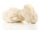 Fresh Hericium Mushroom - Healthy Nutrition