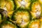 Fresh high resolution photo of pineapple texture