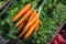 Fresh homegrown carrots on wooden rustic table, plant based food, local food, close up