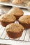 Fresh Homemade Bran Muffins