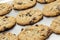 Fresh homemade cookies on baking sheet