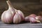 Fresh homemade garlic on a dark wooden background. Copy space for text or description