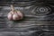 Fresh homemade garlic on a dark wooden background. Copy space for text or description