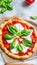 Fresh Homemade Italian Pizza Margherita with buffalo mozzarella and basil, AI Generative Illustration Graphic Design Art Icon