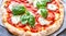 Fresh Homemade Italian Pizza Margherita with buffalo mozzarella and basil, AI Generative Illustration Graphic Design Art Icon