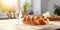 Fresh homemade single one challah bread on table, for shabbat dinner