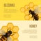 Fresh honey and beeswax retail banners