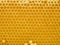 Fresh Honey In Comb. Beewax comb structure abstract pattern. Yellow Honey cells texture background