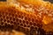 Fresh honey in a honeycomb AI generated