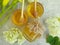 Fresh honey hydrangea taste plant nutrition flower on concrete background