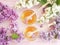 Fresh honey lilac flower rustic  on wooden background freshness