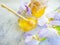Fresh honey, natural iris flower spring on concrete background
