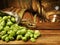 Fresh hops and wheat spikes on wooden table in beer cellar, space for text