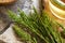 Fresh horsetail plant with a cup of herbal tea in the background. Alternative medicine