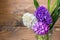 Fresh hyacinth flowers on wooden background.