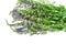 Fresh hyssop herb