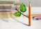Fresh idea creative concept, pencil with leaves on table