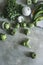 Fresh ingredients for green tomatillos salsa