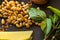 Fresh ingredients for preparing Italian pesto sauce - lemon basil sprigs, peeled seeds of cedar nuts, large garlic clove, Greek ol