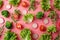 Fresh ingredients salad with arugula, lettuce, radish, and tomato on pink background