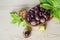 Fresh inshell chestnuts in basket with green and yellow leaves on wooden background. traditional dishes for christmas and hallowee