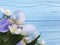 Fresh iris blossom beauty elegance flower on a blue wooden background