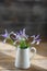 Fresh iris flowers in white jug