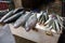 Fresh Jack fish Caranx hippos and Indian mackerel Rastrelliger kanagurta fish on a market stall in Victoria, Seychelles.