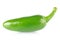 Fresh jalapeno chili pepper.