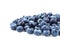 Fresh and juicy blueberries. Colorful blueberries isolated on a white background. Ingredients for healthy snacks. Copy space.