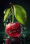 Fresh juicy cherries with water drops on dark light background. Generative AI