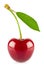 Fresh juicy cherry with green leaf