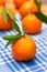 Fresh juicy clementine mandarins