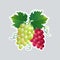 Fresh juicy grape branch icon tasty ripe fruit sticker healthy food concept