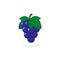 Fresh juicy grape icon