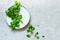 Fresh Juicy Green Corn Salad lamb`s lettuce, Valerianella locusta on a plate on a blue background.