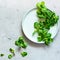 Fresh Juicy Green Corn Salad lamb`s lettuce, Valerianella locusta on a plate on a blue background.