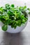 Fresh Juicy Green Corn Salad lamb`s lettuce, Valerianella locusta on a plate on a blue background.  The concept of a healthy die